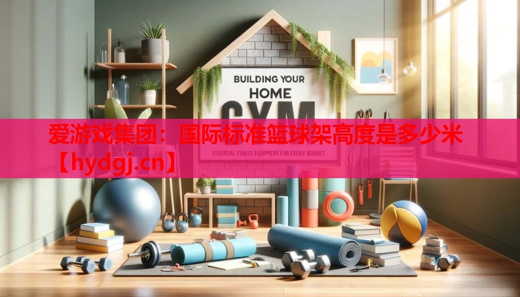 国际标准篮球架高度是多少米 国际标准篮球架高度是多少米