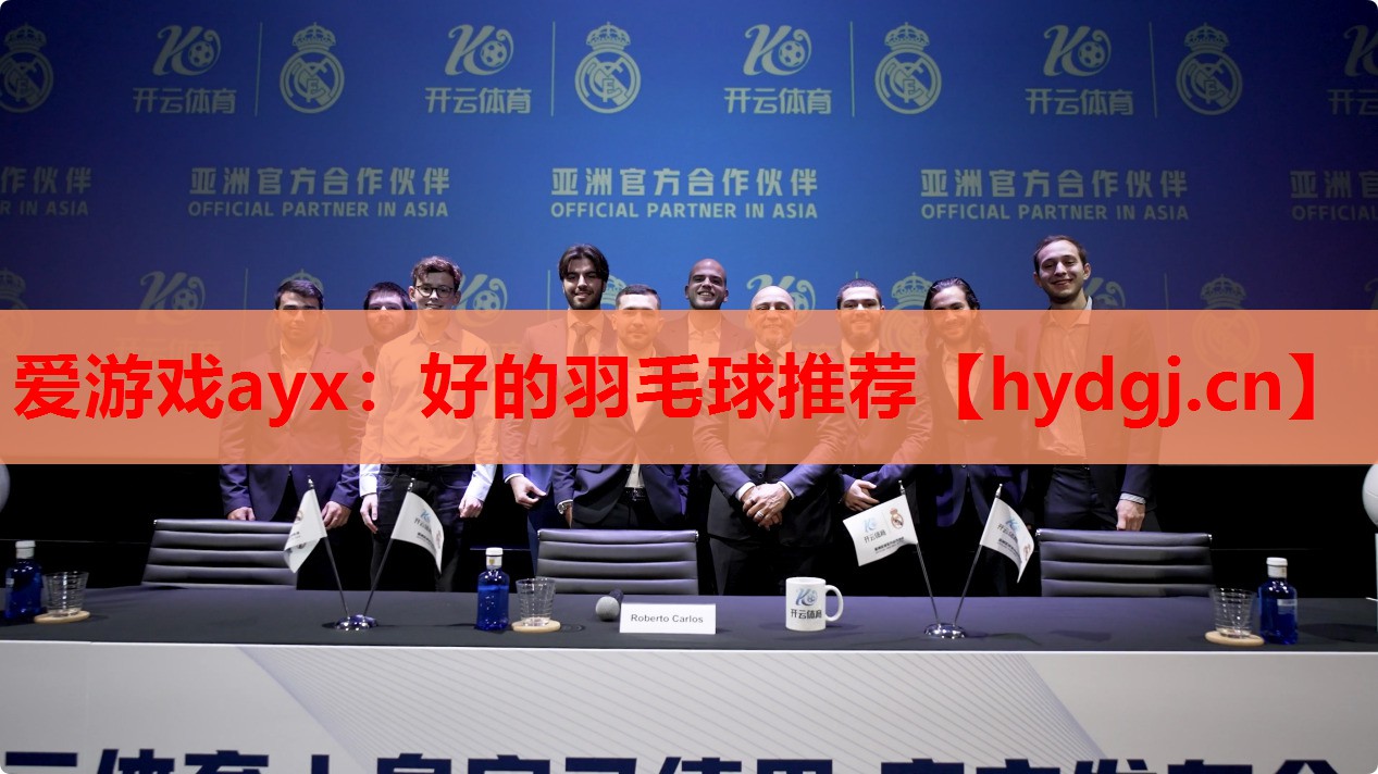好的羽毛球推荐 好的羽毛球推荐