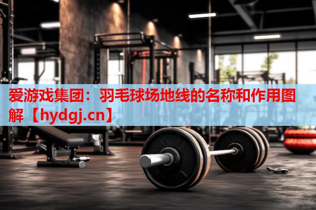 羽毛球场地线的名称和作用图解 羽毛球场地线的名称和作用图解