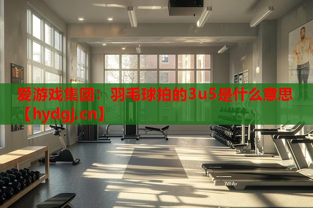 羽毛球拍的3u5是什么意思 羽毛球拍的3u5是什么意思
