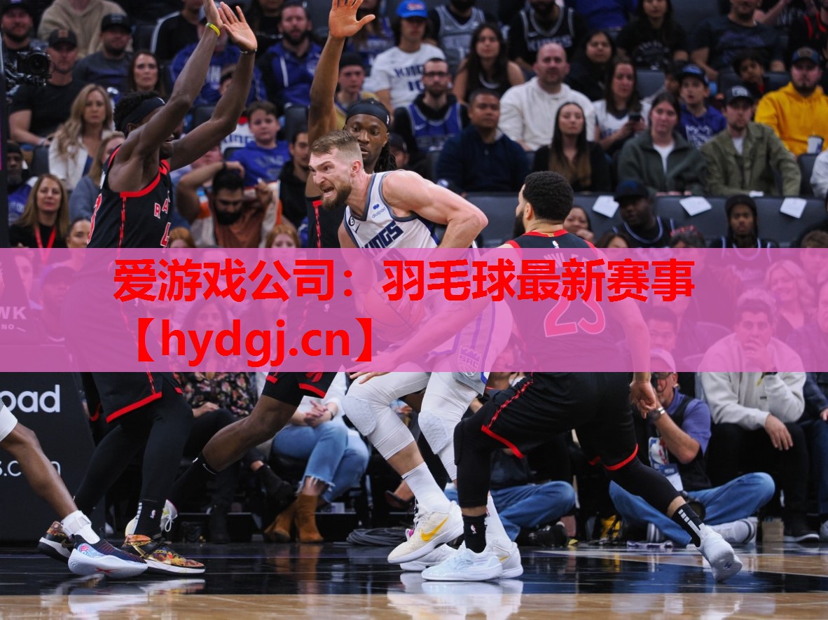 羽毛球最新赛事 羽毛球最新赛事