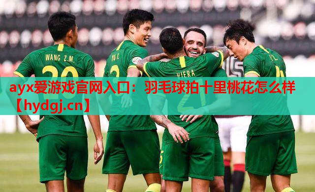 羽毛球拍十里桃花怎么样 羽毛球拍十里桃花怎么样