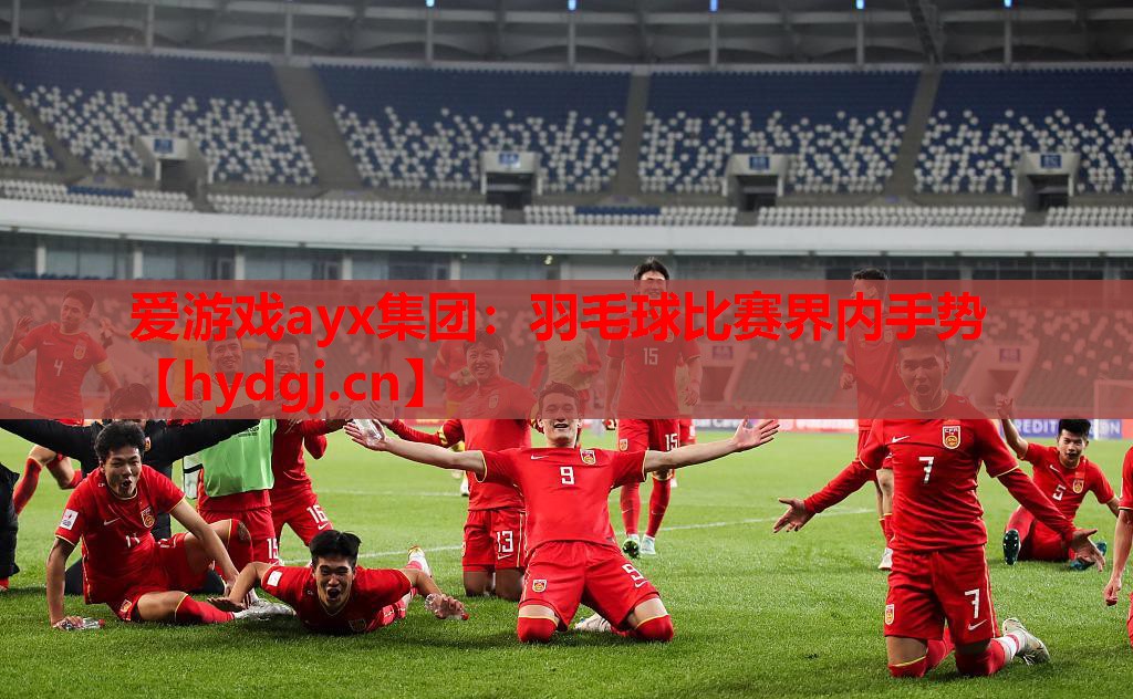 羽毛球比赛界内手势 羽毛球比赛界内手势