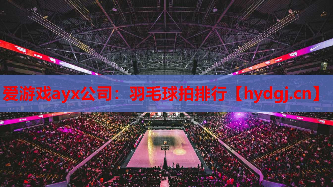 羽毛球拍排行 羽毛球拍排行