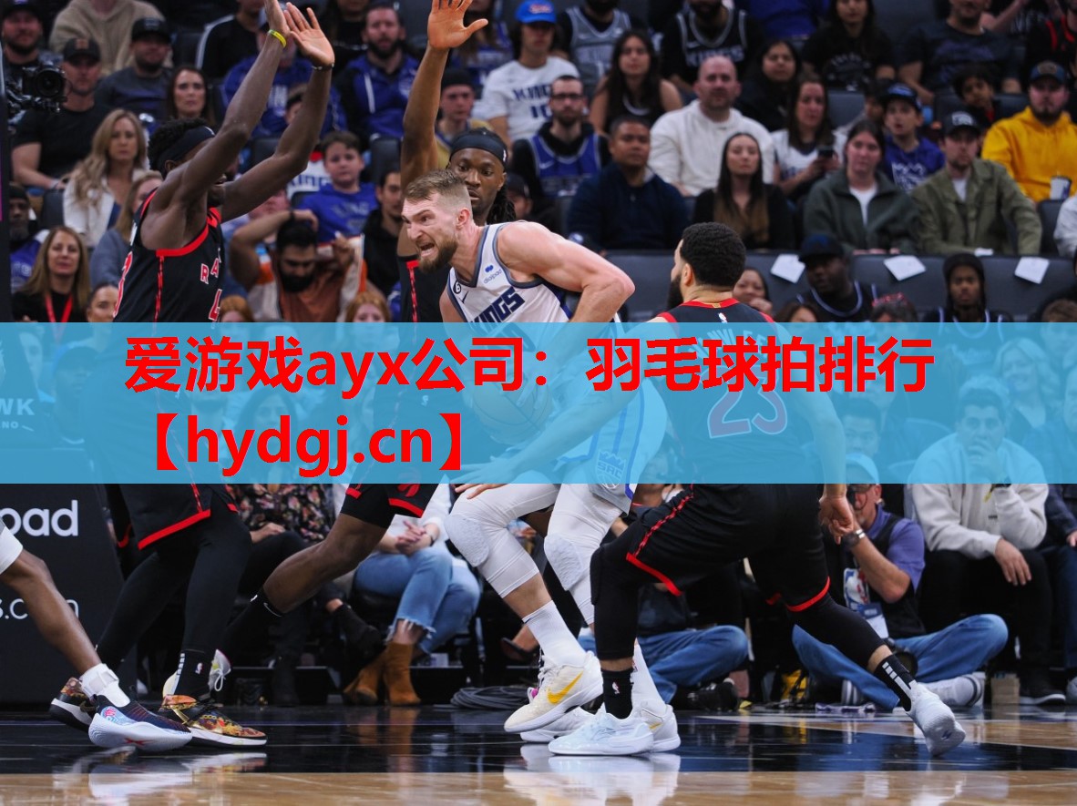 羽毛球拍排行 羽毛球拍排行