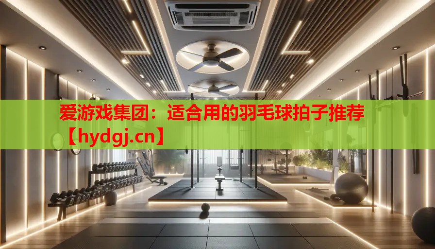 适合用的羽毛球拍子推荐 适合用的羽毛球拍子推荐