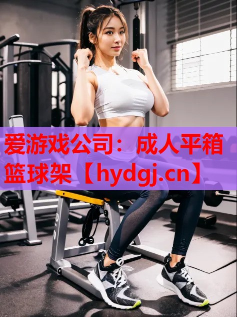 成人平箱篮球架 成人平箱篮球架